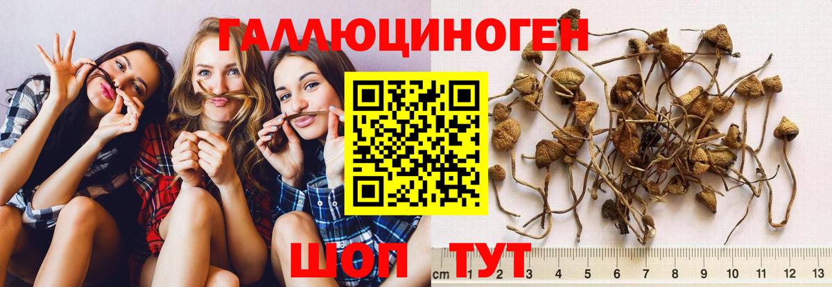 Псилоцибиновые грибы мицелий  Вход с VPN  Псилоцибиновые грибы ЛСД  Саров 