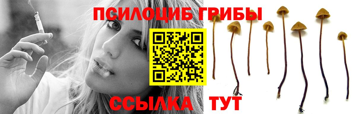 Меф мяу мяу Саров